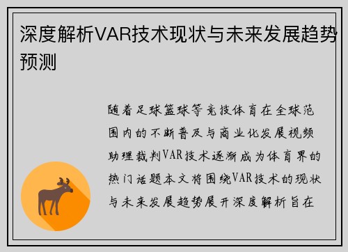 深度解析VAR技术现状与未来发展趋势预测