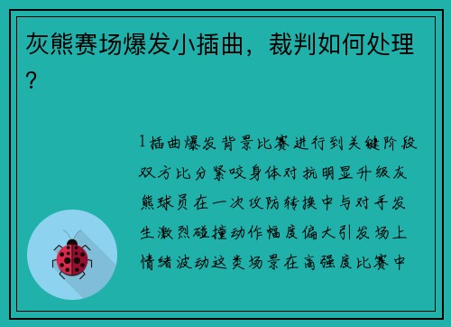 灰熊赛场爆发小插曲，裁判如何处理？